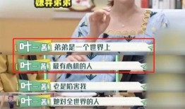 小弟小武爆料视频大全,揭秘幕后真相与趣味瞬间